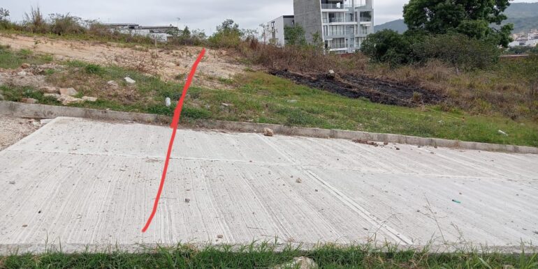 WhatsApp Image 2025-09-02 at 2.36.22 PM