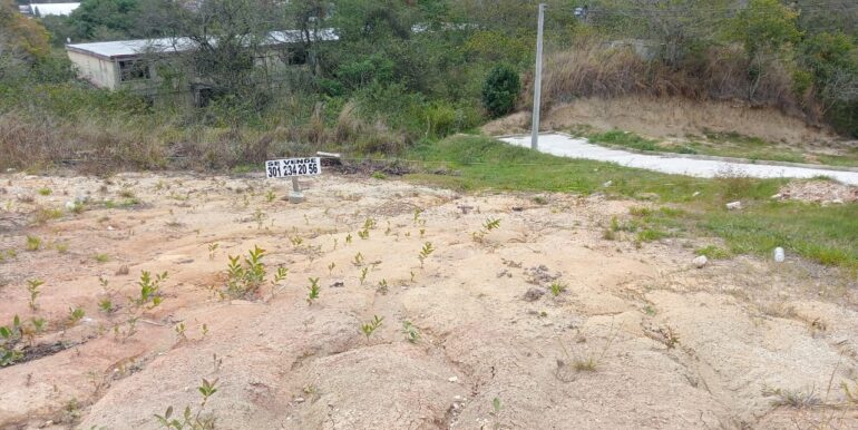 WhatsApp Image 2025-09-02 at 2.36.23 PM