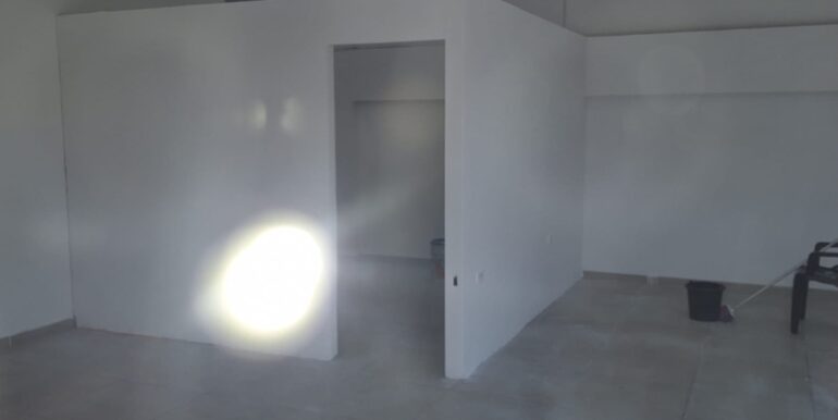 WhatsApp Image 2026-02-11 at 10.16.09 (10)