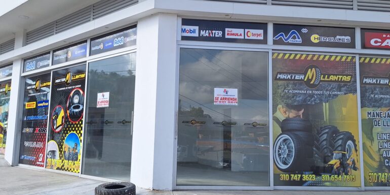 WhatsApp Image 2026-02-11 at 10.16.09 (11)