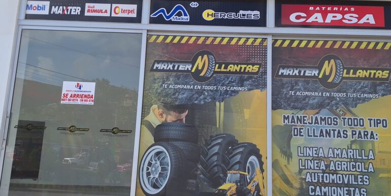 WhatsApp Image 2026-02-11 at 10.16.09 (8)