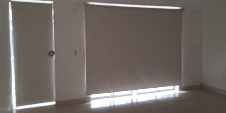 WhatsApp Image 2026-02-17 at 15.21.55 (5)