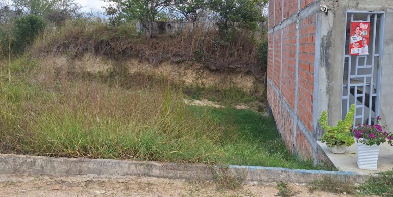 WhatsApp Image 2026-03-03 at 16.20.43 (1)