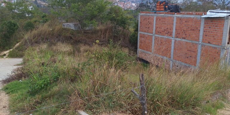 WhatsApp Image 2026-03-03 at 16.20.43