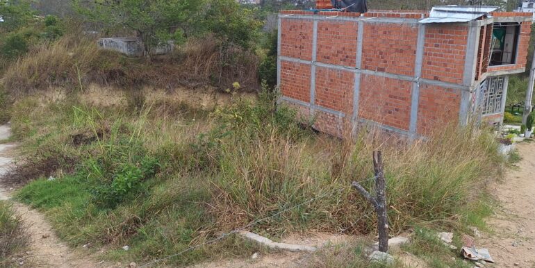 WhatsApp Image 2026-03-03 at 16.20.44