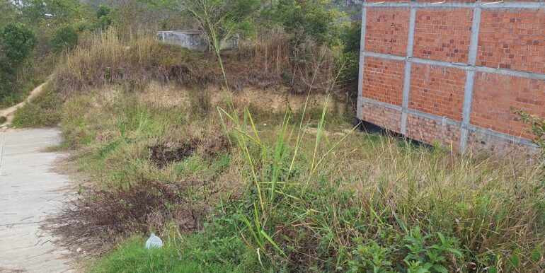 WhatsApp Image 2026-03-03 at 16.20.45 (1)