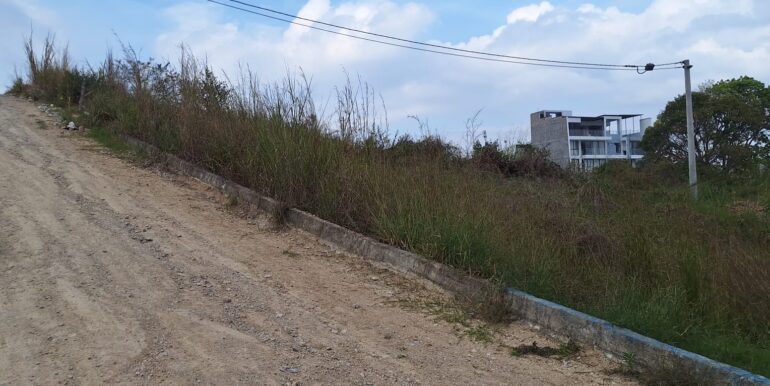 WhatsApp Image 2026-03-03 at 16.20.45 (2)