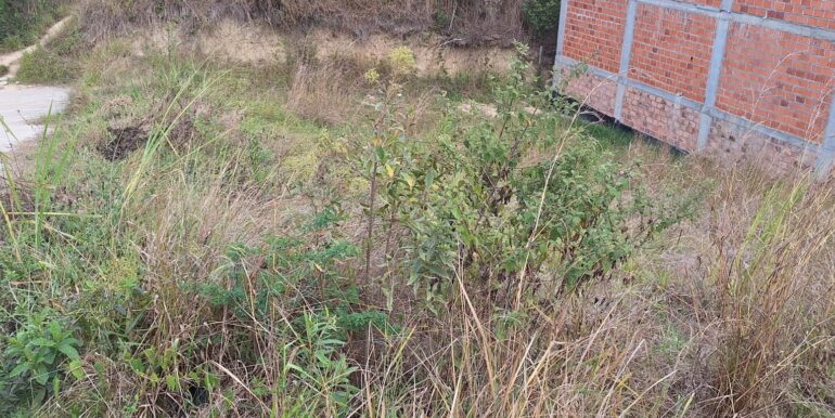 WhatsApp Image 2026-03-03 at 16.20.45